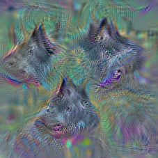 n02104365